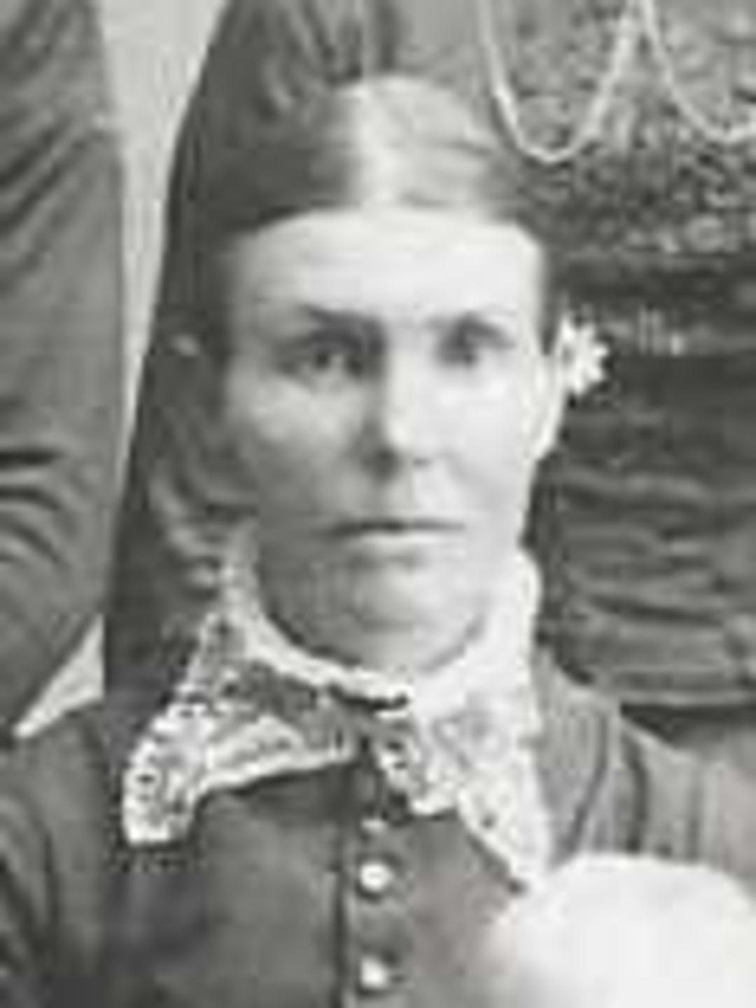 Harriett Louise Kerby (1855 - 1934) Profile